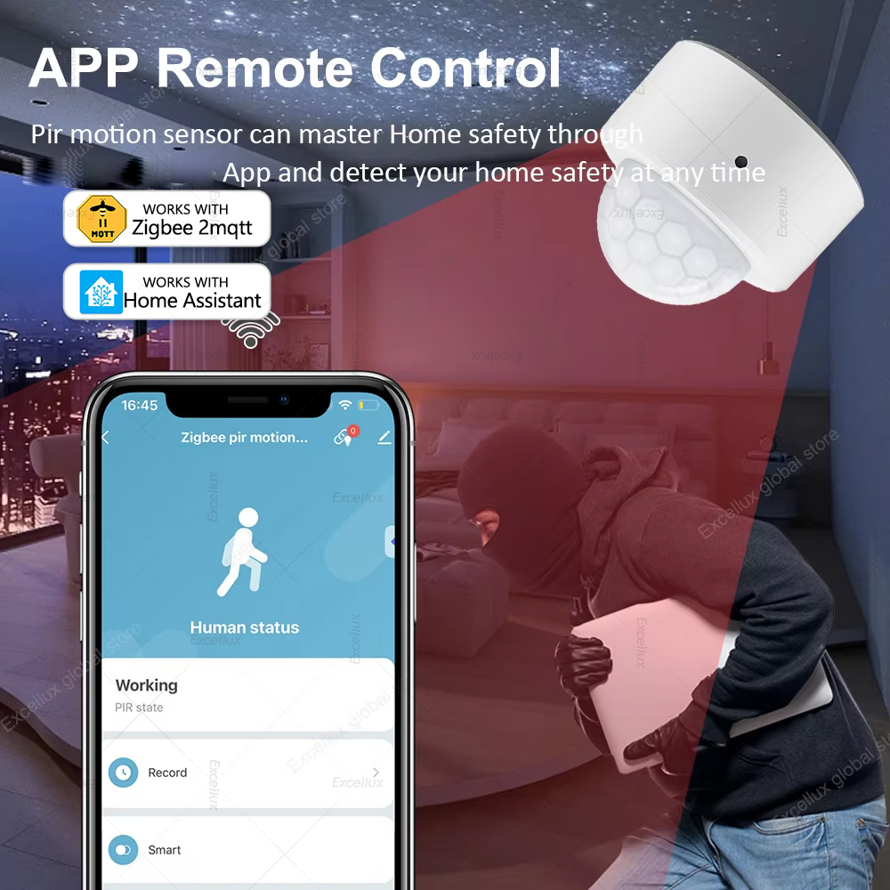 ZigBee PIR Motion Sensor Mini  - огляд і ціна Home Security Alarm