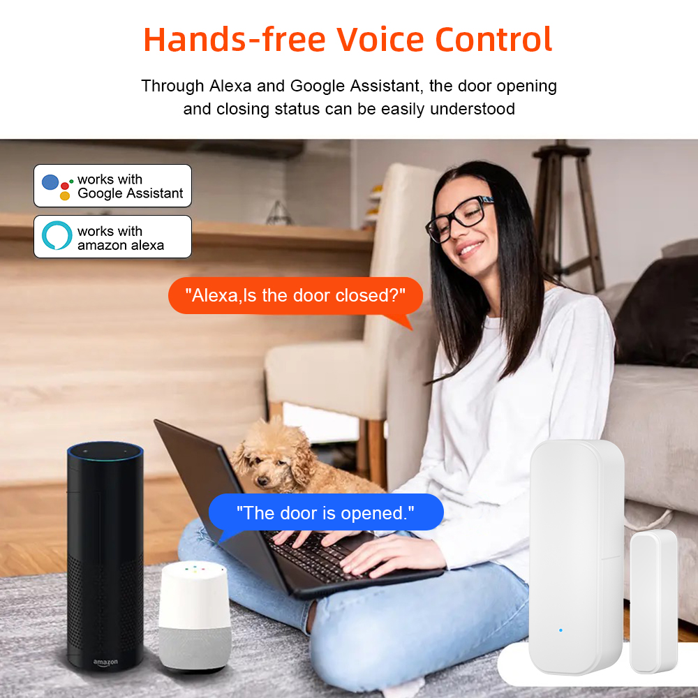 Tuya WiFi Zigbee Window Door S - огляд і ціна Home Security Battery