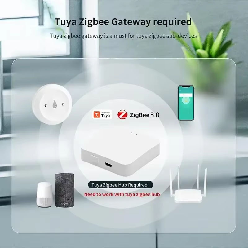 For Tuya ZigBee 3.0 Smart Wate - огляд і ціна Home Security Monitoring System