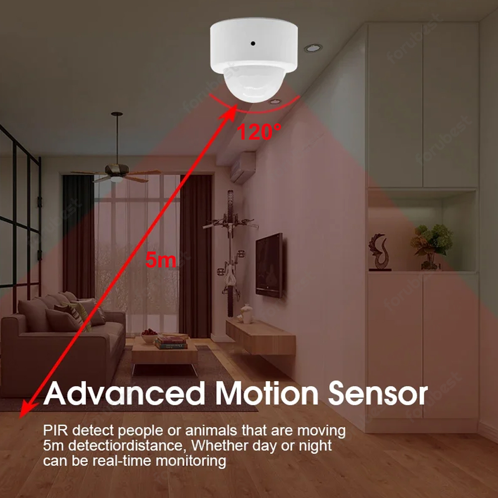 Zigbee 3.0 Human Motion Sensor - огляд і ціна Home Security Alarm