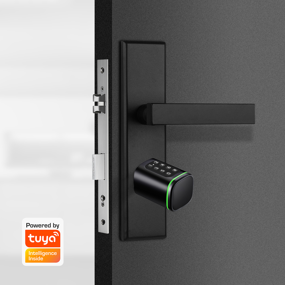 Smart Cylinder Lock Tuya 60-90 - огляд і ціна Home Security Battery